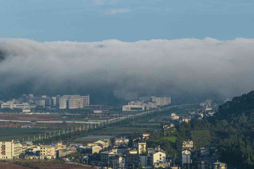 哈尼手工普洱茶07年价格：全面解析与比较，了解当年的市场行情和品质特点