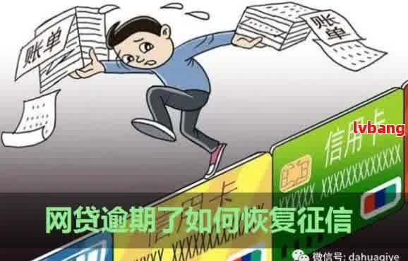 网贷逾期后的生活：如何应对、解决和重建信用？