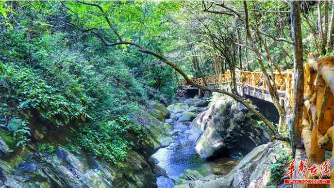 永新县黄竹岭生态旅游区：自然风光与文化古迹的完美融合