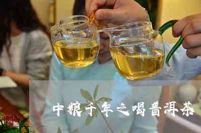 中茶十年普洱茶还能喝吗