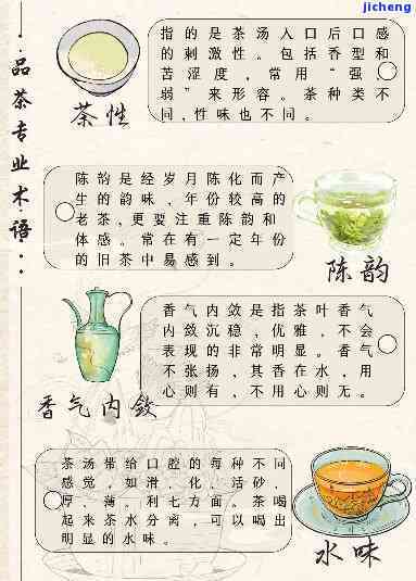 普洱茶的评茶术语大全：掌握专业术语，品鉴普洱茶的精髓