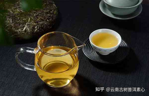 师姐评普洱茶怎么评的好喝？如何评价普洱茶口感？