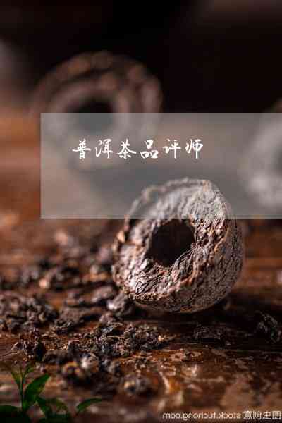 师姐评普洱茶怎么评的