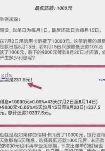 信用卡逾期一年的还款明细：1000元欠款将产生多少费用？