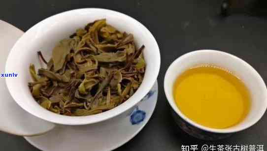 什么普洱茶喝？怎么选购？