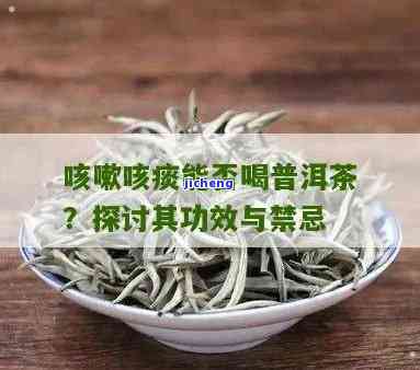 经常咳嗽可以喝普洱茶吗