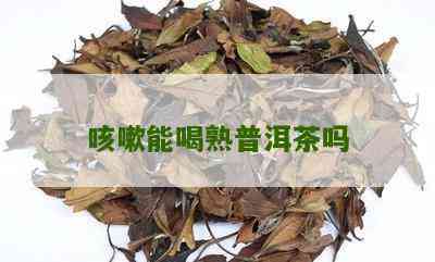 经常咳嗽可以喝普洱茶吗