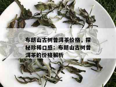 布朗山古树普洱茶的价格是多少？购买时应注意哪些因素？