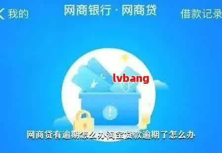 '网商贷对公账户还款多少天销账正常：解答疑问，提供准确信息'