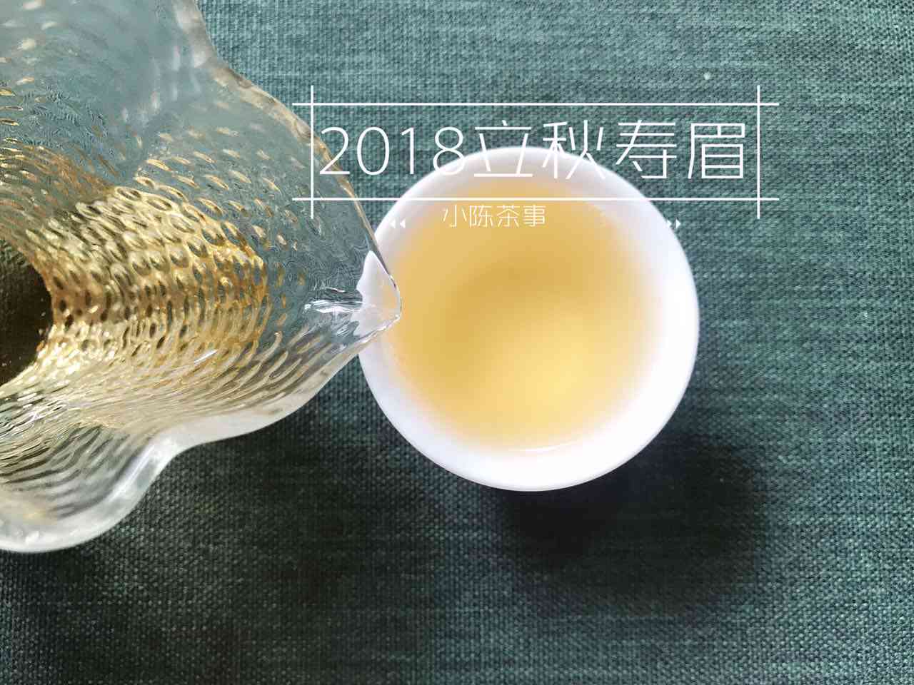 专家说普洱茶是绿茶吗