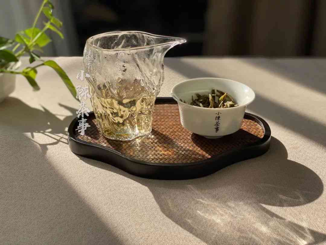 专家说普洱茶是绿茶吗