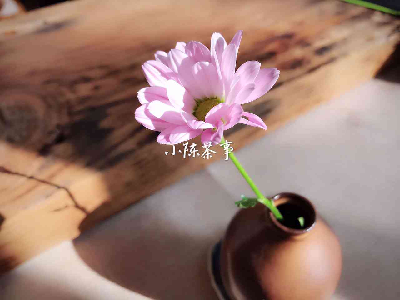 专家说普洱茶是绿茶吗