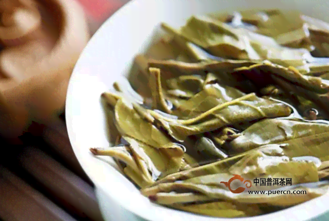 专家说普洱茶是绿茶吗