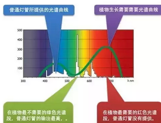 掌握专业技能：如何通过观察颜色、纹理及硬度等因素鉴别墨绿色和田玉的真伪