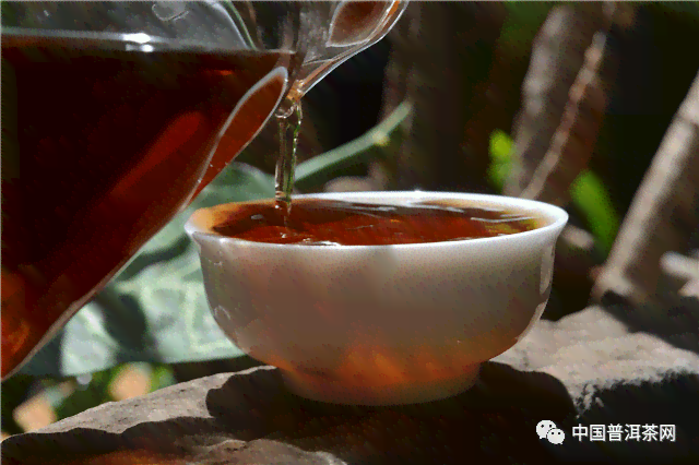 云南普洱茶的多样化饮品：除了普洱和茶之外，还有哪些创意喝法？