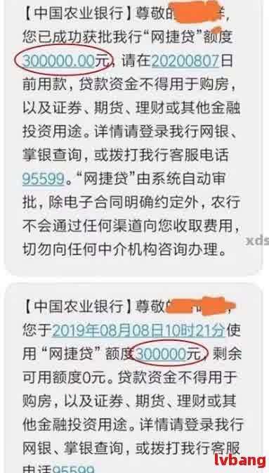 农业银行网捷贷逾期一天还款后，是否可以再次申请贷款？