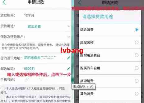 农业银行网捷贷逾期一天还款后，是否可以再次申请贷款？