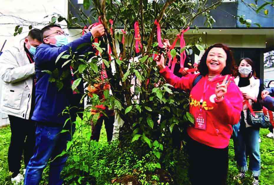 乾坤茶业：浙江的优质茶叶供应商