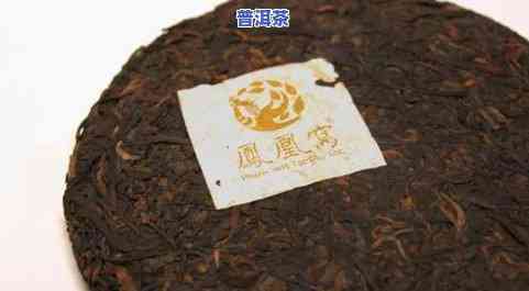 易泰龙精选普洱茶：300元的茶叶体验，让您品味不一样的山野韵味