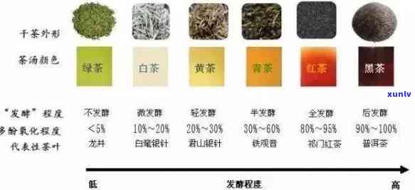 乌龙茶、普洱茶与红茶：全面解析与比较，帮助您选择最适合您的茶叶类型