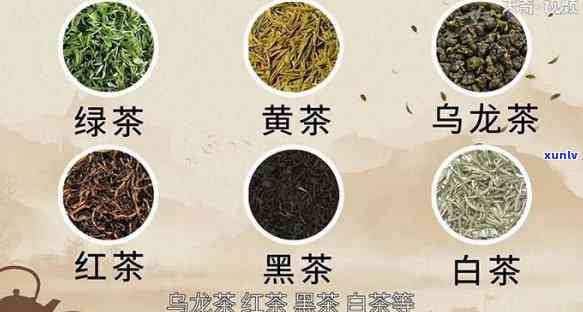 乌龙茶、普洱茶与红茶：全面解析与比较，帮助您选择最适合您的茶叶类型