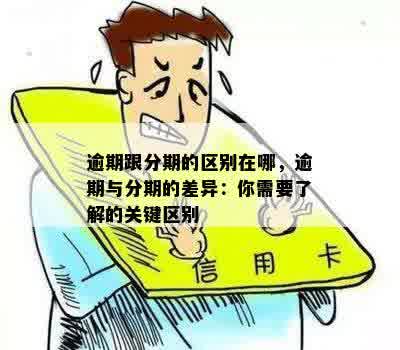 逾期付款与分期付款有何区别？解答您关于逾期和分期的全面疑问