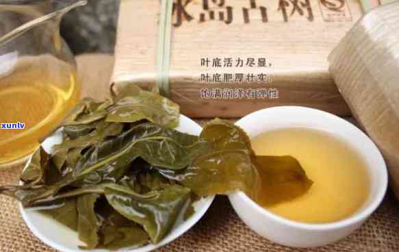 冰岛普洱茶是什么红茶吗？冰岛普洱茶特点和功效，百科介绍与百度百科