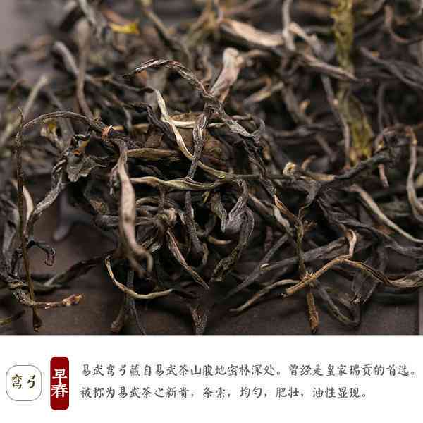 易武古树普洱茶2013年精选款：品质越，批发优价