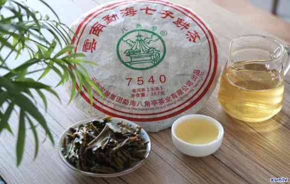 云南原产地纯正八角亭7540生茶，品鉴普洱茶独特风味