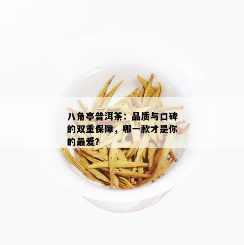 探索八角亭普洱茶：口感与品质的综合评价