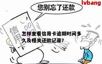 如何及时发现信用卡逾期记录并解决？详细步骤解析