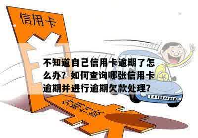 如何知道自己的信用卡是否逾期还款：7种方法判断信用卡逾期情况