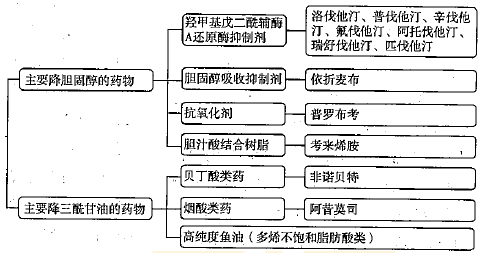 普洱茶的消化功效及其科学原理解析