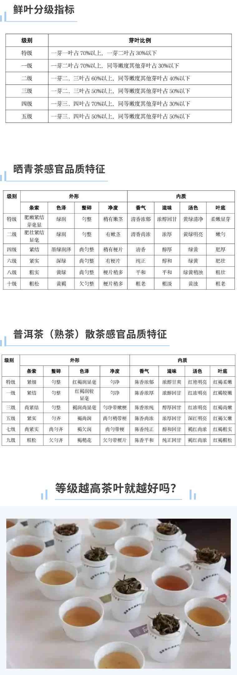 '普洱茶需要qs吗？生产可、质量等级标注与过滤煮泡需求全解析'