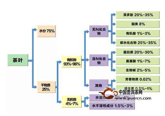 '普洱茶需要qs吗？生产可、质量等级标注与过滤煮泡需求全解析'