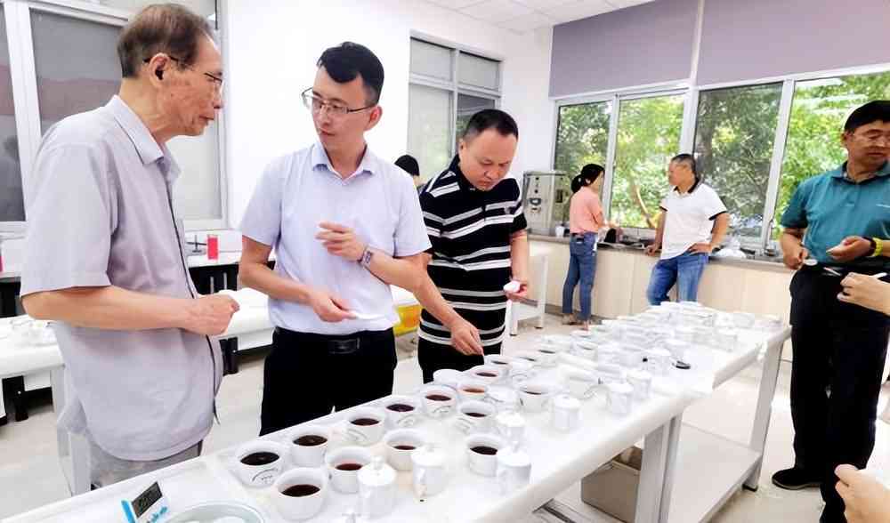 中国普洱茶创新与发展委员会