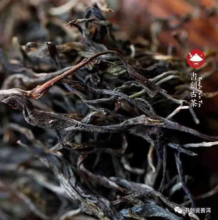 普洱茶存放山头选择全指南：哪个山头的茶叶最适合长期存？