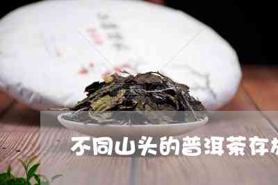 普洱茶存放山头选择全指南：哪个山头的茶叶最适合长期存？