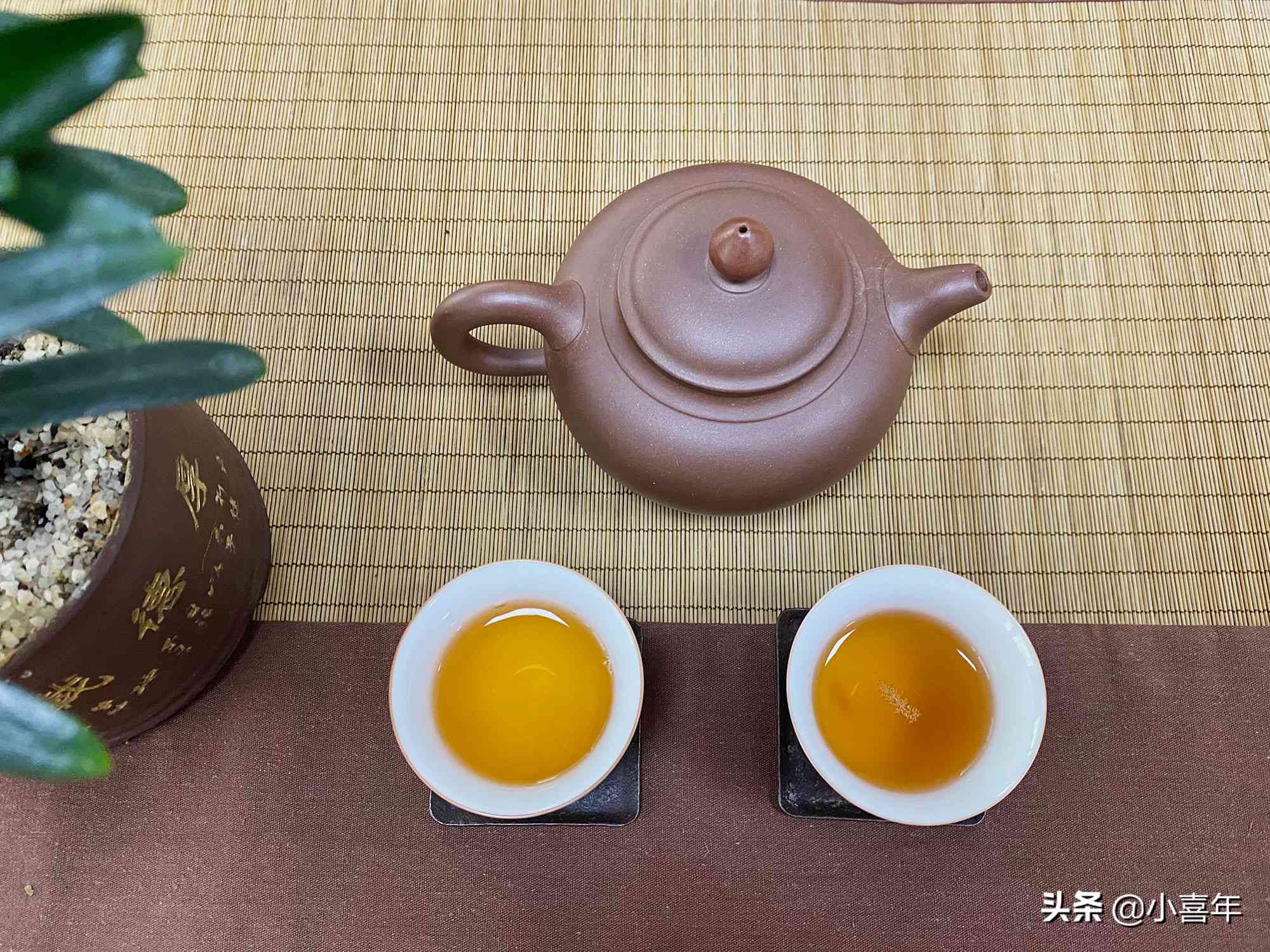 薄荷塘普洱茶的全解：产地、口感、功效与冲泡方法