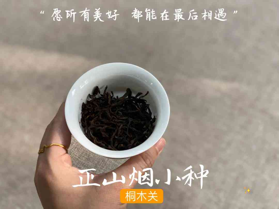 红茶普洱茶可以泡几次吗