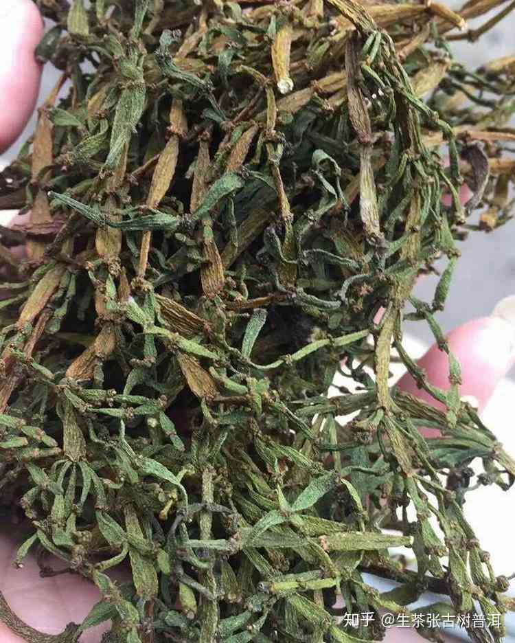 锦鲤熟茶冲泡技巧：普洱茶正确泡法与步骤详解