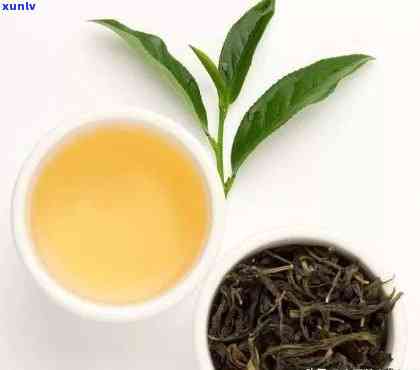 锦鲤茶品种与外貌特征解析：了解这种独特茶叶的全部真相