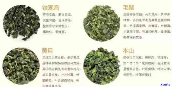 锦鲤茶品种与外貌特征解析：了解这种独特茶叶的全部真相