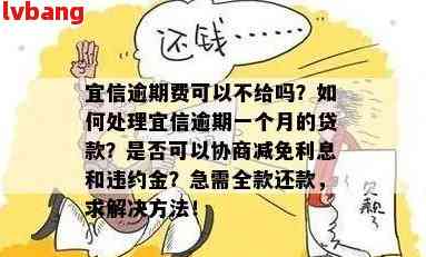 逾期还款全面指南：还呗逾期全款处理策略与解决方法