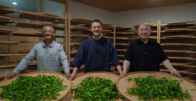 李亚鹏普洱茶：品鉴高品质茶叶，了解制作工艺与独特风味