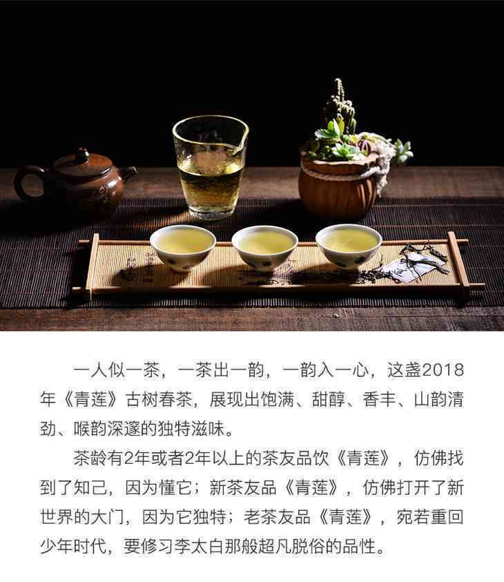 清欢普洱茶生茶价值与价格解析