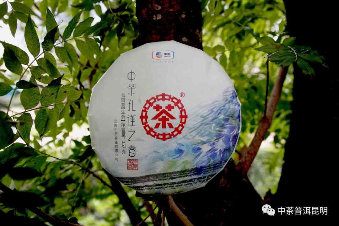 云南普洱茶收藏价值解析：、排行榜与价格的关系探讨