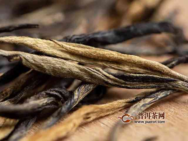 普洱茶小蜘蛛是什么茶类