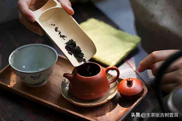 普洱茶品鉴与冲泡技巧：掌握这些小窍门，让茶叶的味道更上一层楼