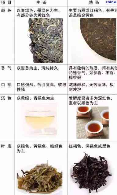 普洱茶与绿茶味道对比：探索普洱生茶与绿茶口感的区别